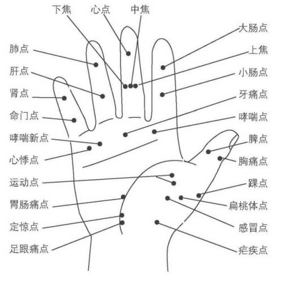 十七：火星平原