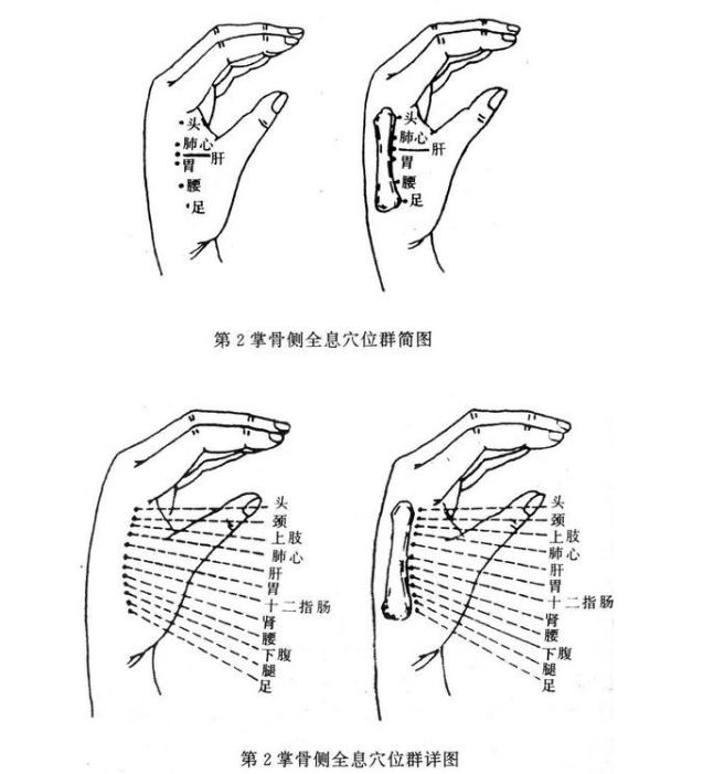 看手相（男左女右）