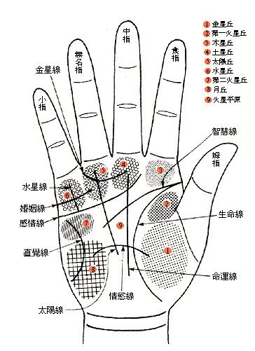 手相看善于交际的人