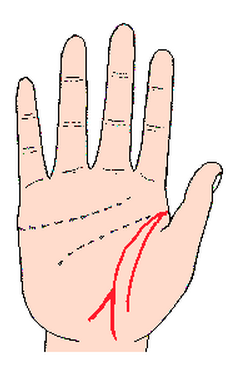 教你看手相之手纹篇
