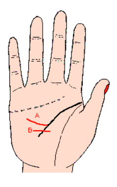 教你看手相之手纹篇