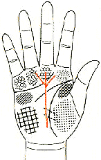 手相教材--命运线