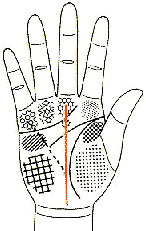 手相教材--命运线