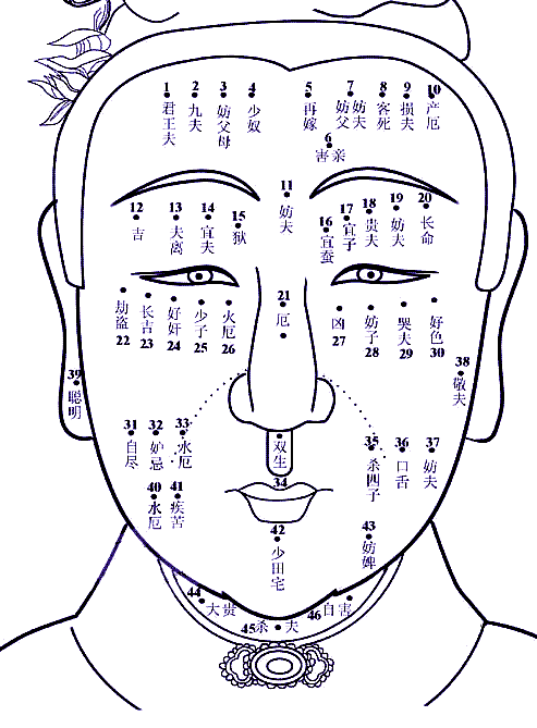 痣相吉凶速查2