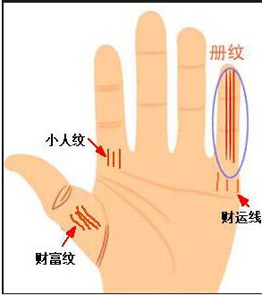 财运线看您财富的影响