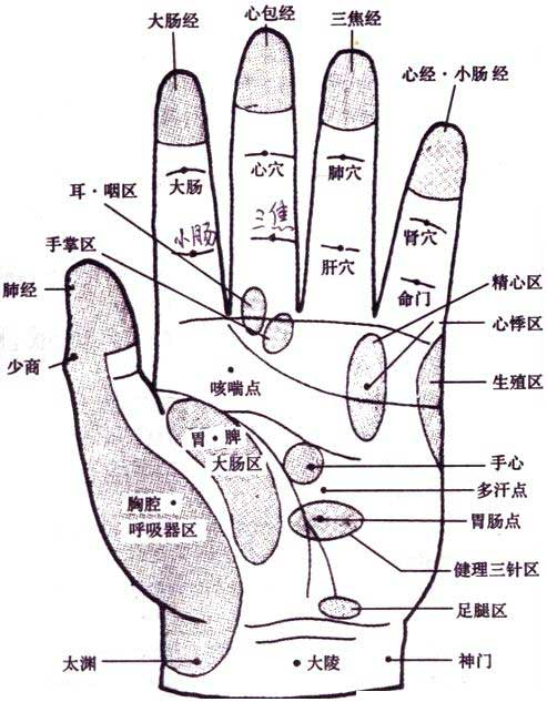 手指代表的五脏图图片