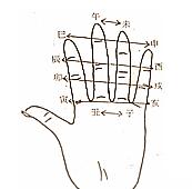 十二地支六合掌诀图