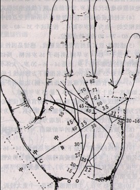 手纹流年定位（图）