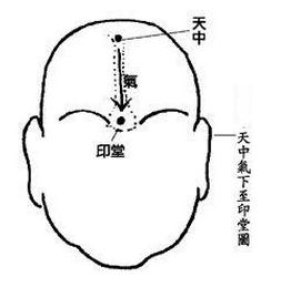 面相部位