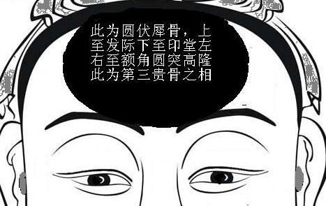 最尊贵三种头部骨相排行榜