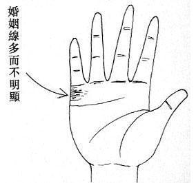 3.23看女性婚姻线