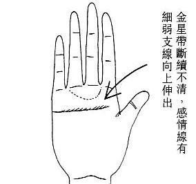 3.16金星带（二）