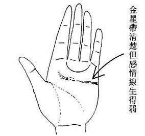 3.15金星带（一）