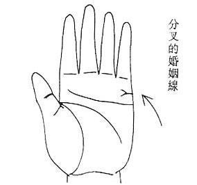 .7谈婚姻线分叉