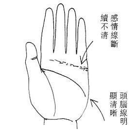 3.4感情线头脑线合观