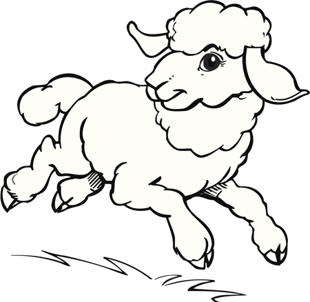 巨蟹座+属羊(生肖羊)+B型血性格分析