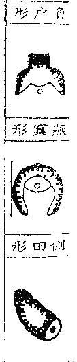 形