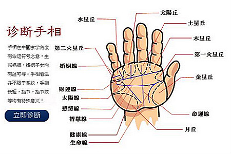 手相100招看你健康财运爱情(上)