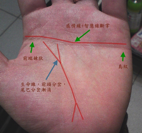 手相断掌纹是睿智、聪明和判断力强吗？