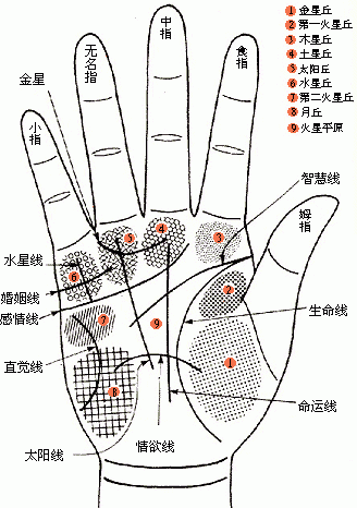 哪种手相事业线最好