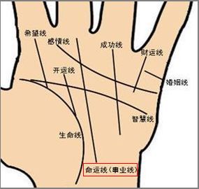 超准手相剖析，很多人不知道要看左手还是右手？