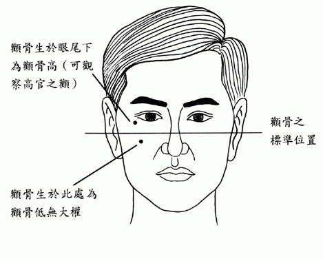 颧骨如何帮你看男人