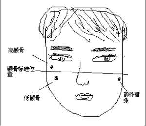 1、颧骨隆起颧骨隆者，斗志十足