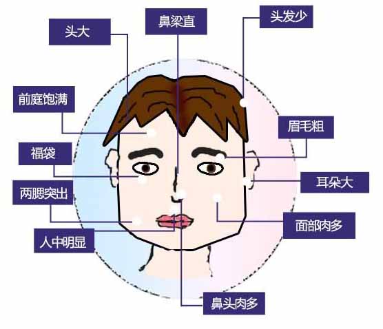 额头窄颧骨高面相图解