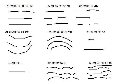 额头纹看相