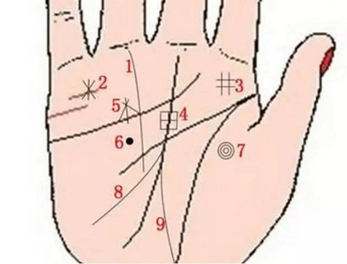 是不是大财富命看九条掌纹？即简单又精准！