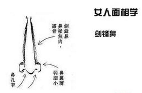 剑锋鼻的配偶问题