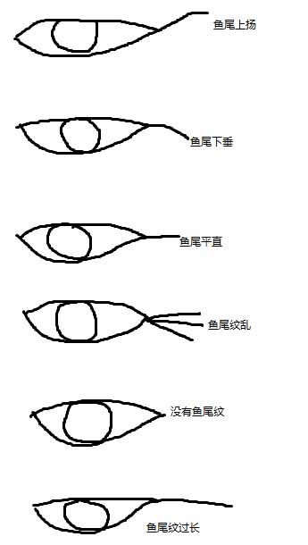 鱼尾纹多的面相