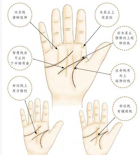 注定事业成功的手相