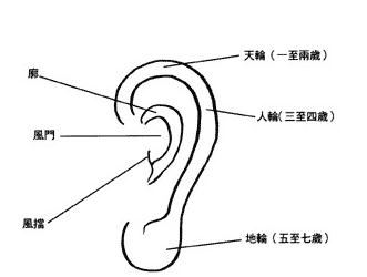 看耳朵算命图解大全