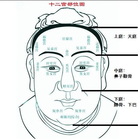 什么是天庭饱满地阁方圆？