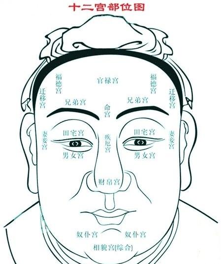 面相看人,面相识人麻衣相法