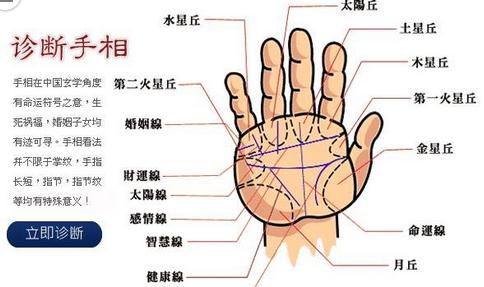 手相图解方庭的含义