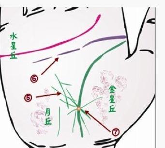 患肝病的手相特征