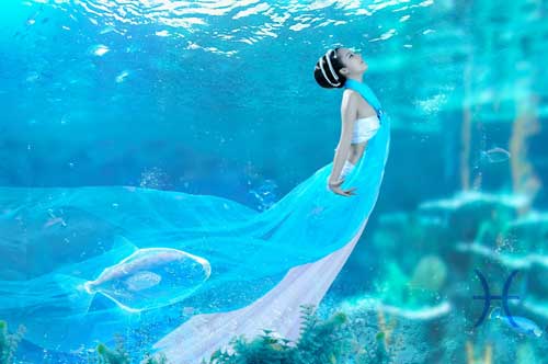 英格丽-张：星相与成功之双鱼座