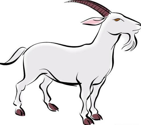 摩羯座攒钱方式：利用一技之长