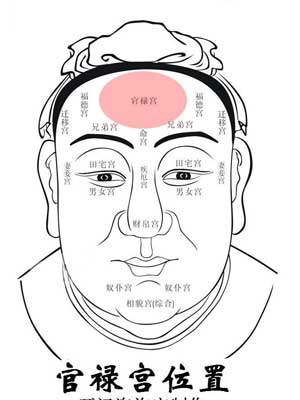 面相看你适合经商还是当官