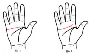 教你看清手掌心的情欲线