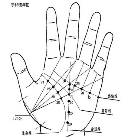 最详细的女人手相感情线图解