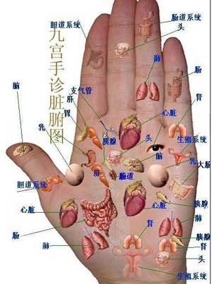 标准手诊图 