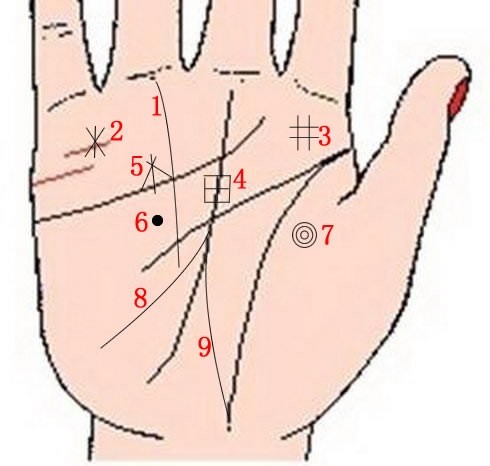 九大财富纹你拥有几条？