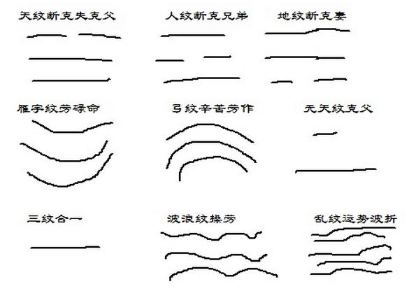 抬头纹面相解析