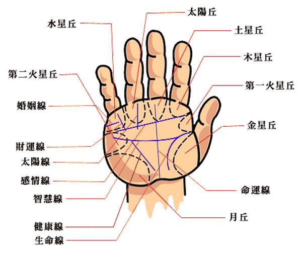 经典手相解密