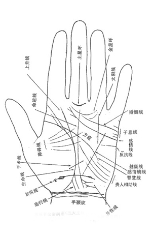 科学发现：掌纹判断未来... 