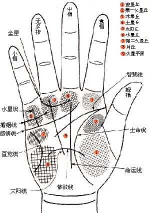 自学看手相的要领