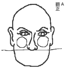 颧骨位置看是否富贵